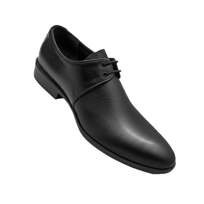 Premium Leather Textured Derby Shoes